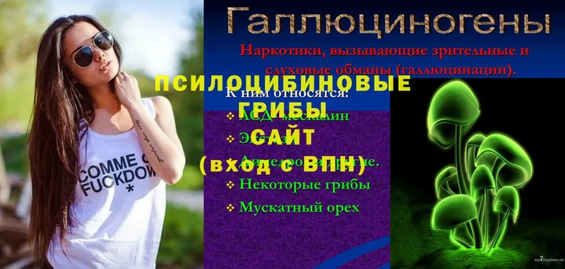 Псилоцибиновые грибы мухоморы  Торжок 